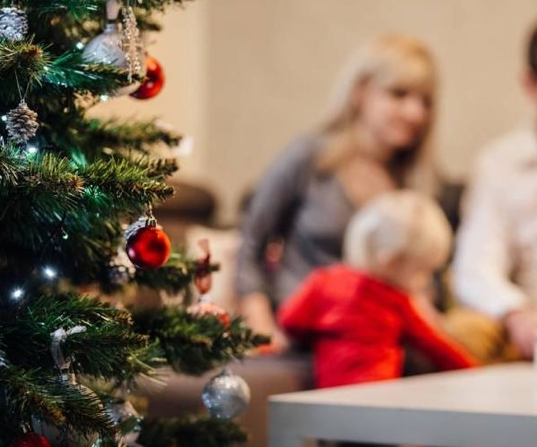 Parental Custody and the Holiday Season View Larger Image