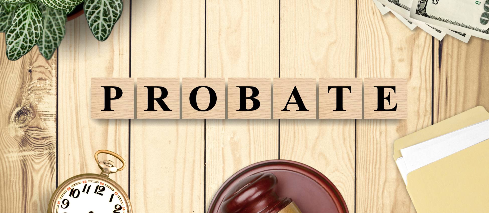 Probate Court | Sean Cox law